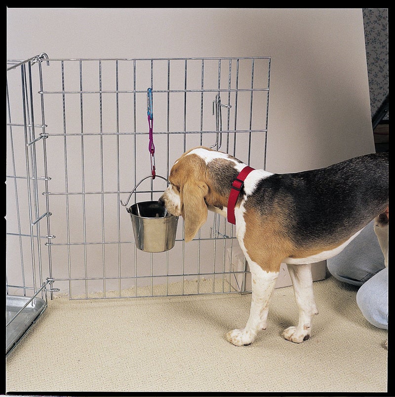 Pro Select Stainless Steel Pet Pail, 1-Quart Size â€“ Heavy Duty Flat Sided Pail Great for Providing Water in Pet Kennels - Image 2